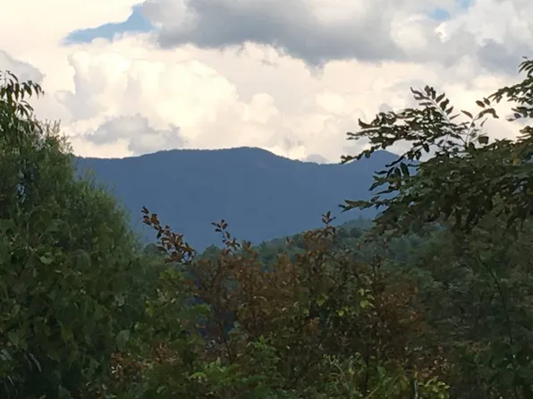 693 Reems Creek Rd, Weaverville, NC 28787