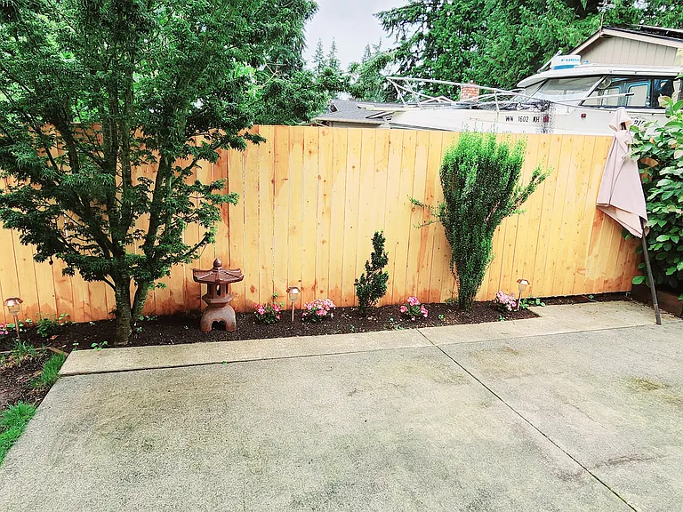 Backyard_1