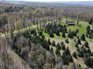 9467 Reagan Rd, Clymer, NY 14724