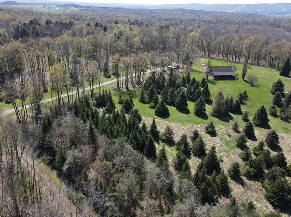 9467 Reagan Rd, Clymer, NY 14724
