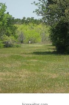 2nd image of Highway 36 S