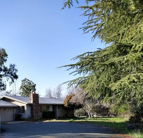 1401 Hamblen Way Photo 1