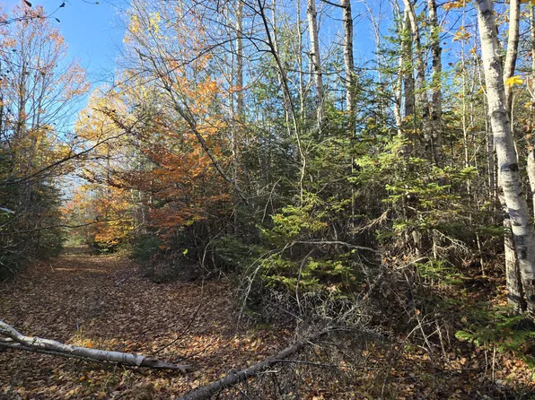 M8 L17 Off Rt2, Canaan, ME 04924