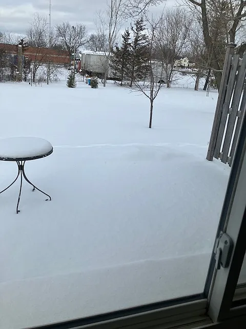 7458 Fenton Rd — Photo 4