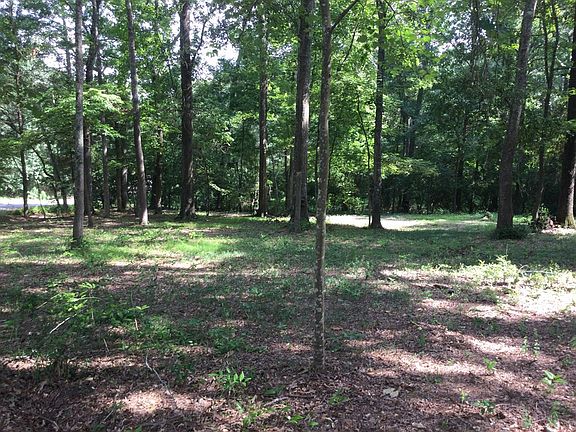 4th image of 284 County Road 2091