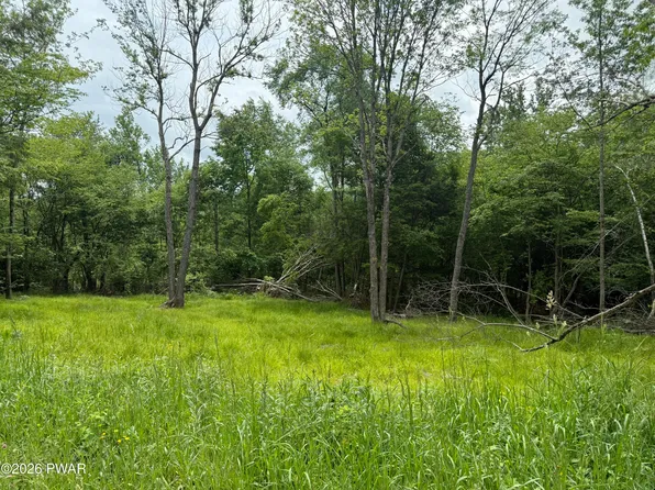 Beaver Hollow Rd, Lakewood, PA 18439