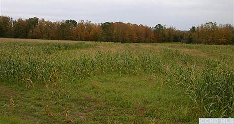 All trees and land belong to the property.