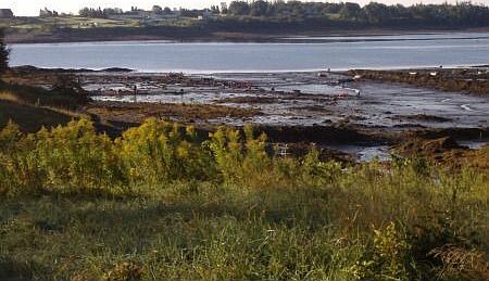 View of the bay across the street...note the clammers!