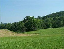 2nd image of 4440 Hackleshin Rd
