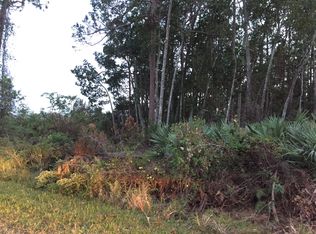 0 Smith Rd, New Smyrna Beach, FL 32168