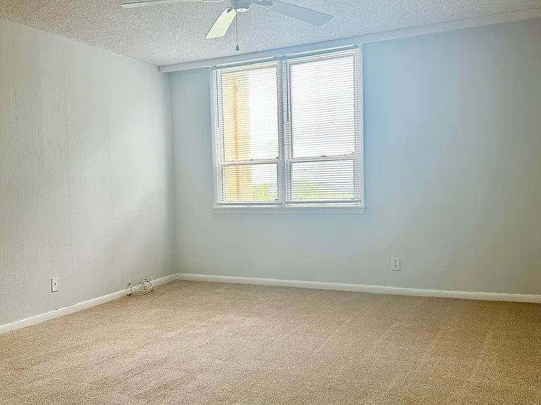 2617 Cove Cay Dr #1-311 — Photo 28