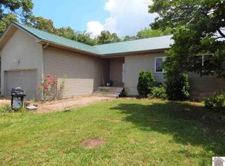 170 Oak Level Elva Rd, Symsonia, KY 42082