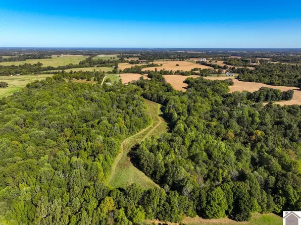 0 Simon Rd, Clinton, KY 42031