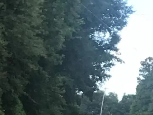 Izlar St, Blackville, SC 29817