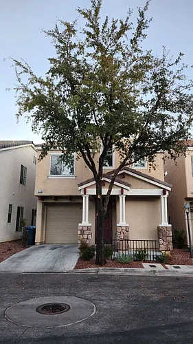 8146 Golden Flowers St Photo 1