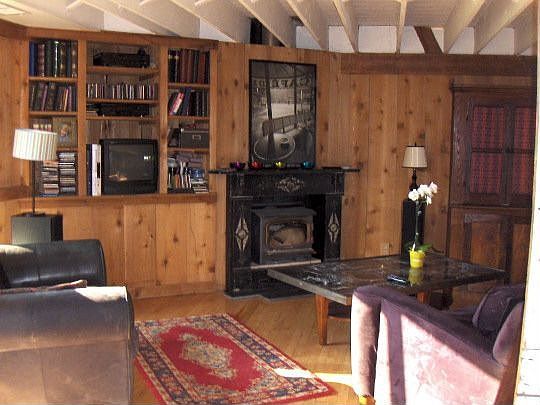 Cozy fireplace in library