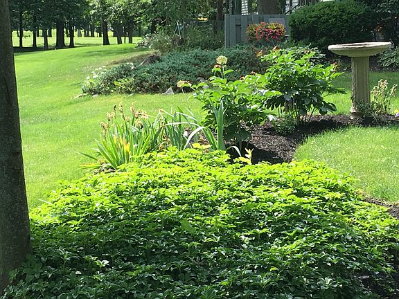 4th image of 309 Old Meadow Dr