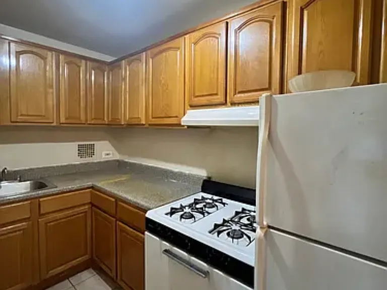 41 Hamilton Ave #5L — Photo 7