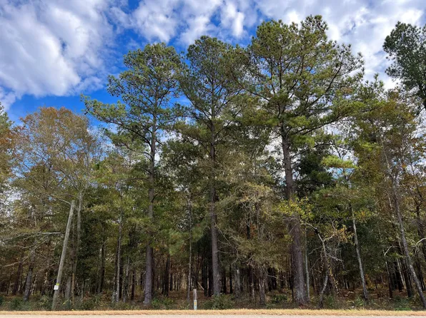 0 Wagener Rd #2, Wagener, SC 29164