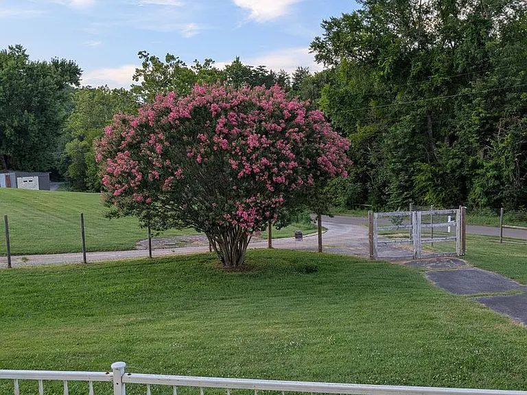 1055 Gunter Corner Rd — Photo 39