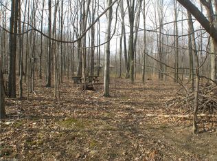 17295 Amblaire Rd, Middlefield, OH 44062