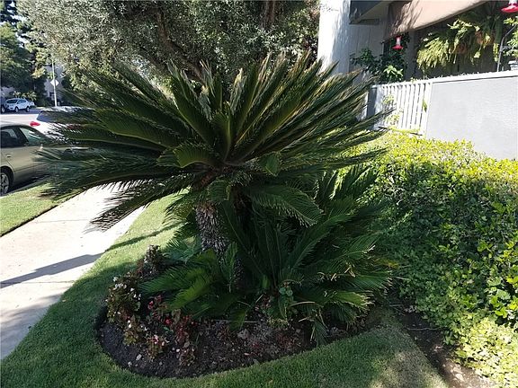 2nd image of 5134 White Oak Ave #213