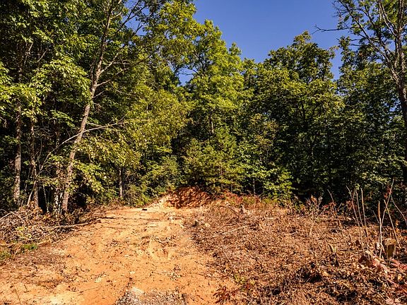 5th image of 437 Trickle Branch Ln