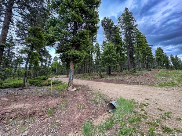 19 Summit Pl, Angel Fire, NM 87710