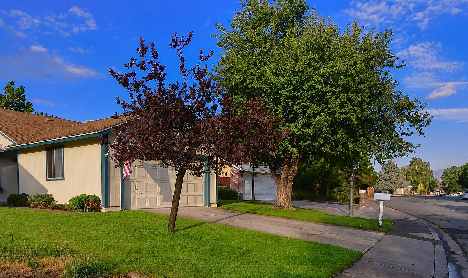 3 bed, 1206 sqft, $2,450 — Photo 2