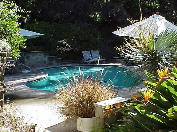 Swimming pool looking away from house