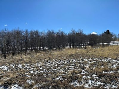 68 Mower Court LOT 799, Hartsel, CO, 80449