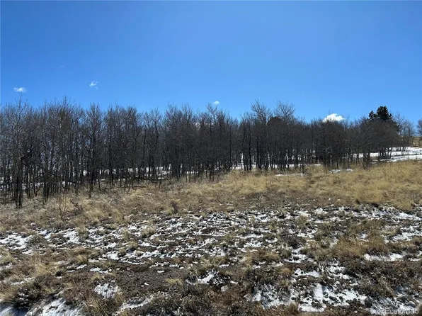 68 Mower Court LOT 799, Hartsel, CO 80449