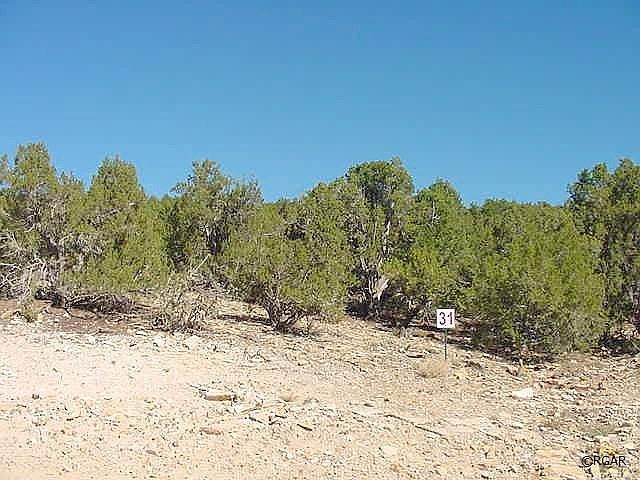 1st image of 31 Dakota Ln