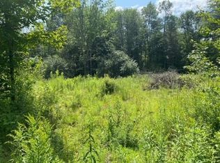 600 Kendricks Corner Rd, Perkinsville, VT 05151