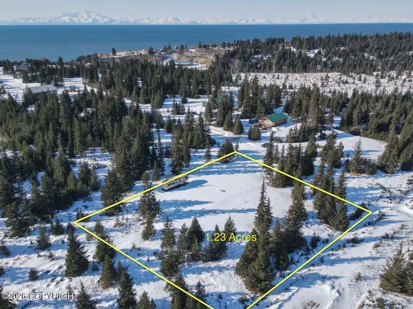72697 Kingair Ave, Anchor Point, AK 99556
