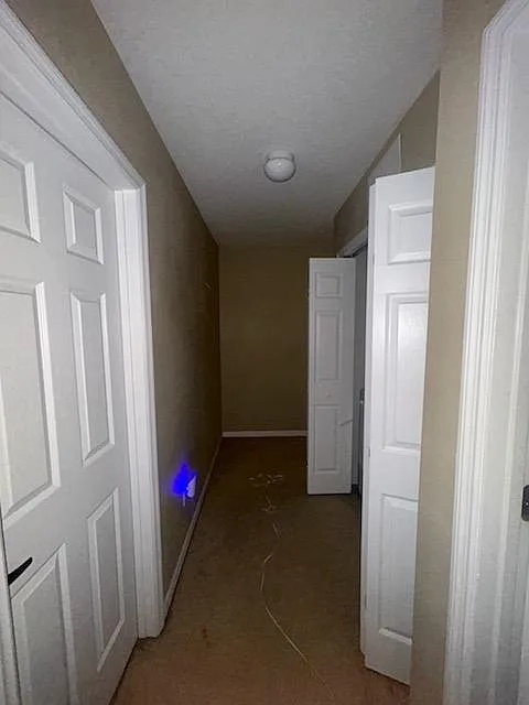 4195 Pitch Pine Circle — Photo 2