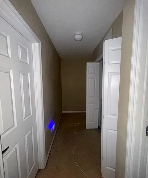 4195 Pitch Pine Cir — Photo 2