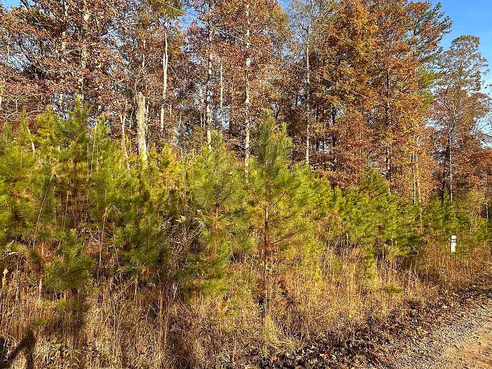 2nd image of 0 Harbour Point Dr #29
