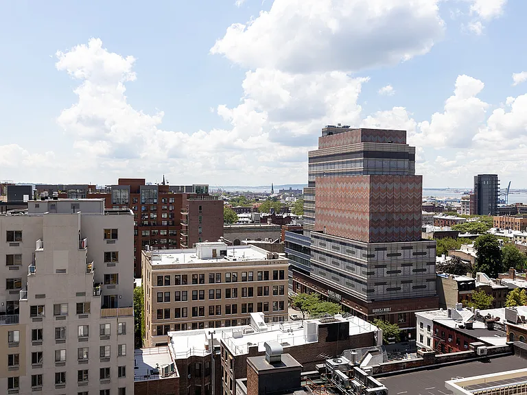 85 Livingston St #17K — Photo 4