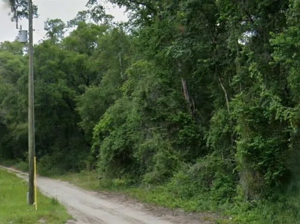 NE 162nd Pl Lot 5, Citra, FL 32113