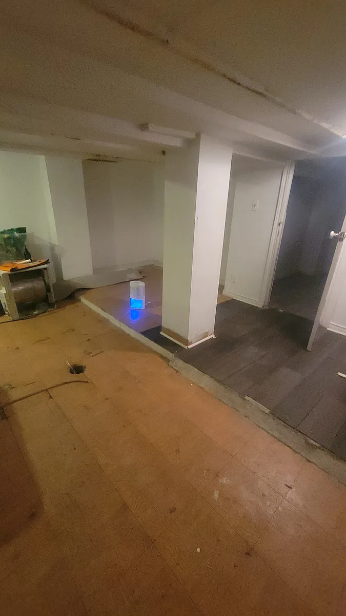 Basement - 89 Claremont St