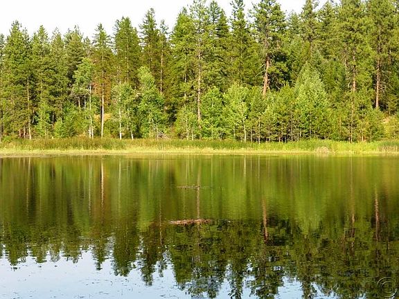 5th image of 42687 Jette Lake Trl
