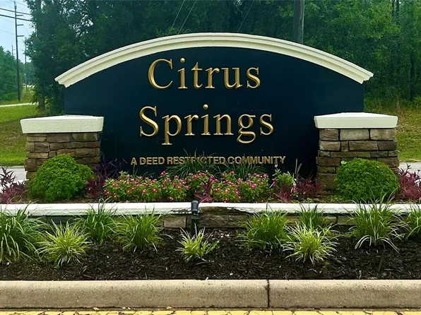 1139 W Hampshire Blvd, Citrus Springs, FL 34434