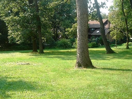 3rd image of 11341 Hiawatha Ln