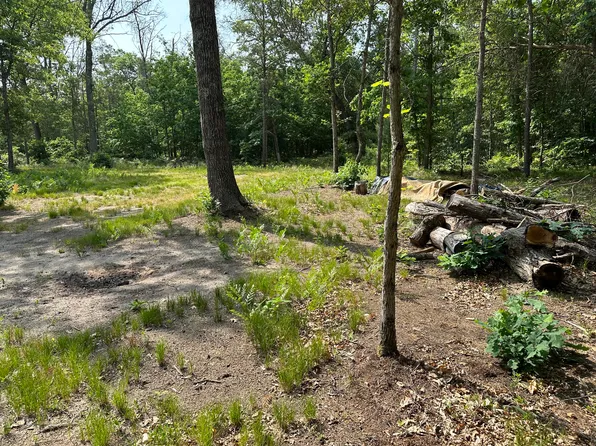 6815 S Merline Ave, Baldwin, MI 49304
