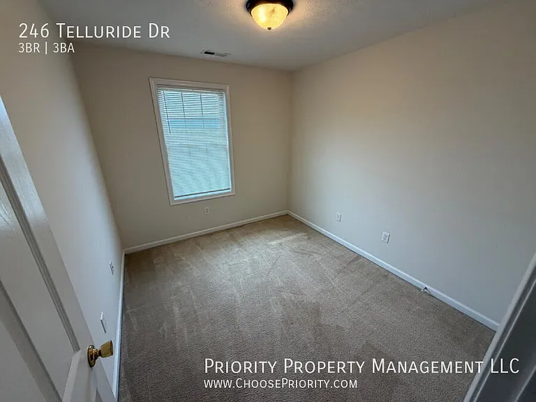 246 Telluride Dr — Photo 15