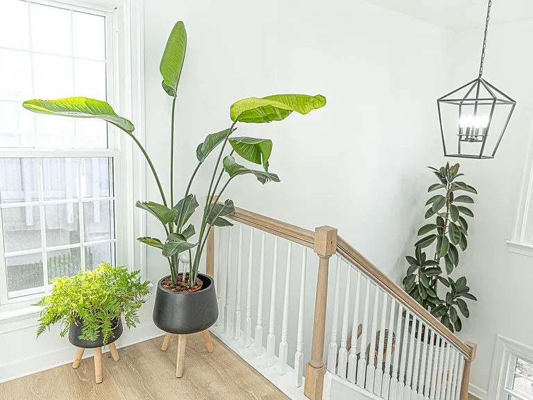 212 Ambler St — Photo 14