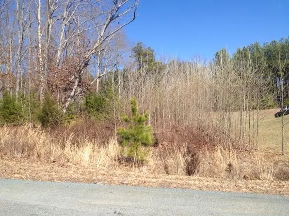 21 Sunview Cir, Moneta, VA 24121