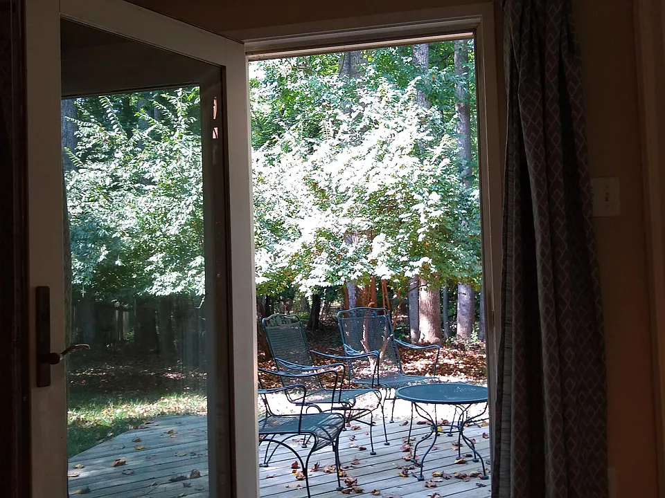 View of woods out front door.