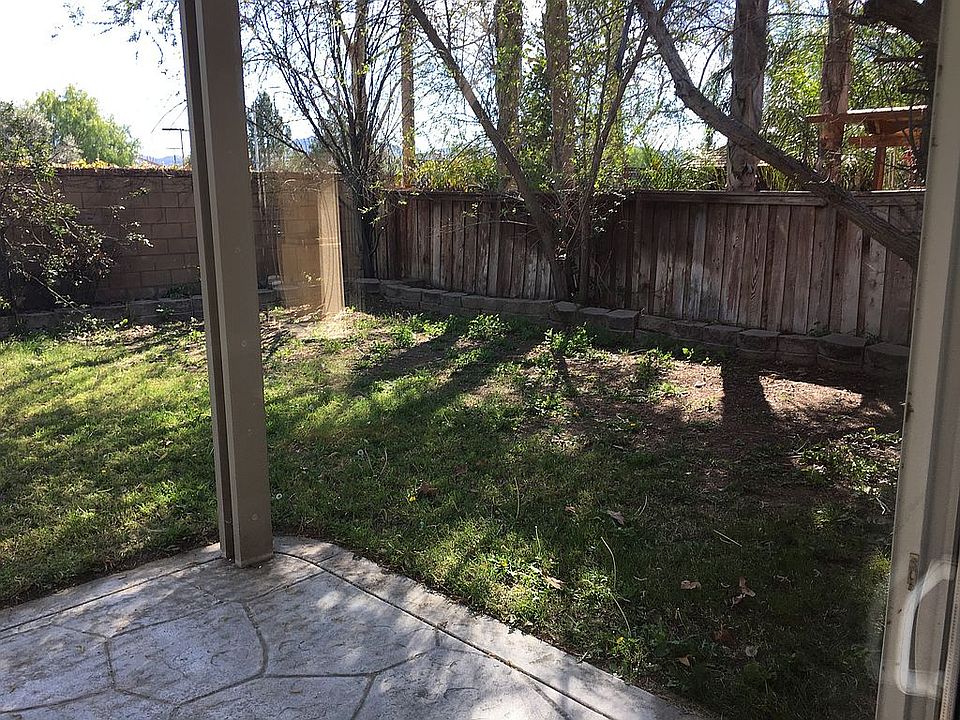 Backyard2